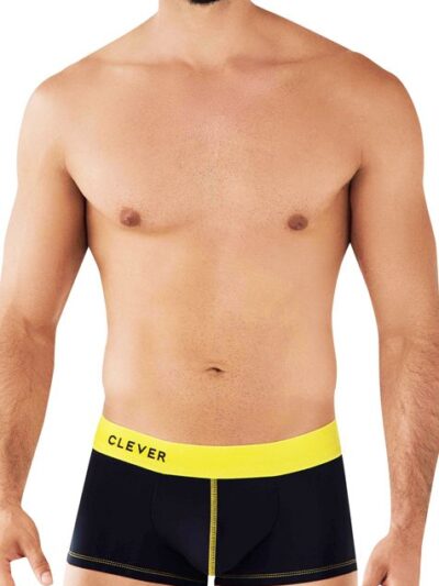 Techiniques Latin Boxer