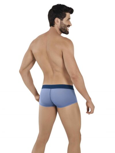 Obwalden Latin Boxer