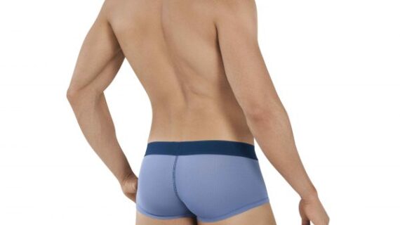 Obwalden Latin Boxer