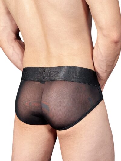Dark Sunset Mesh